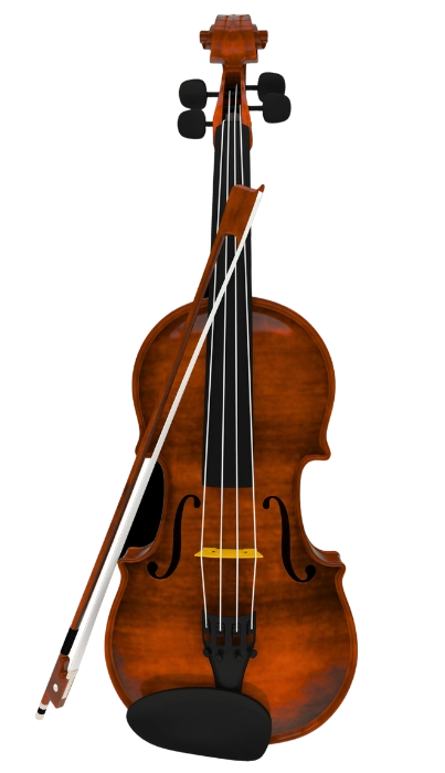violin